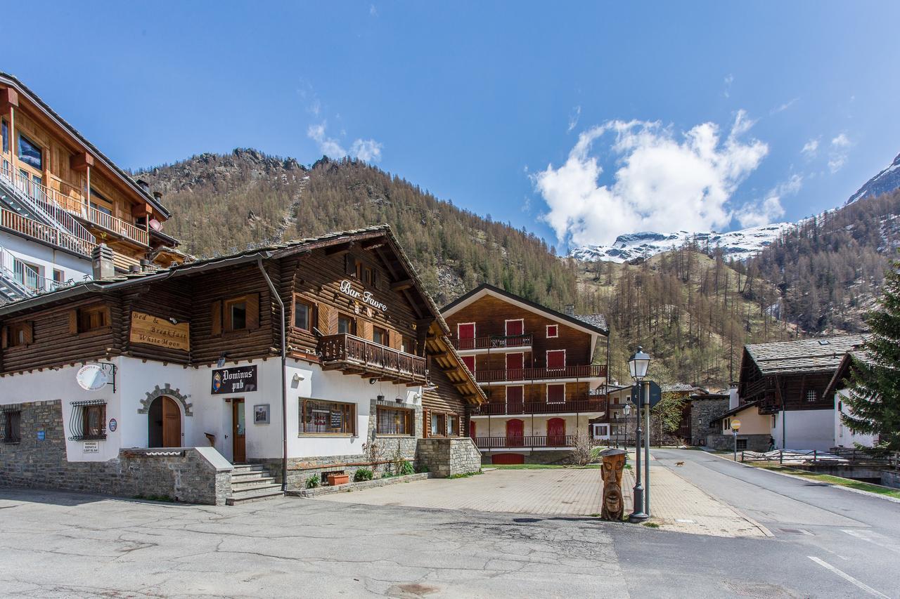 B&B White Moon Gressoney-la-Trinité Dış mekan fotoğraf